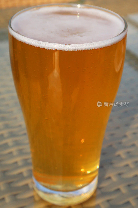 啤酒杯/金苹果苹果酒/啤酒照片的特写，显示泡沫泡沫的头，外面的啤酒杯在酒吧花园酒吧/餐厅